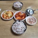 내돈내산 고속터미널역 순대국집(순댓국집) 내고향사골순대국 방문 후기