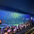 한국체대 건강한태권도 이미지