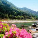 송화네 펜션 이미지