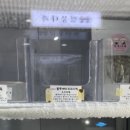 멍뭉다과 이미지