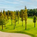 CC 골프존 이미지