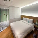 Hotel Peyto(호텔 페이토) | 강남 양재역 호텔 추천, 호텔 페이토 강남 디럭스 더블룸 후기 (헬스장 &amp; 저렴하게 이용하는 방법)