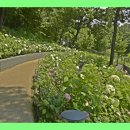 동산 Daum카페