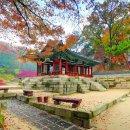동네미장원 뉴스1