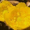 찬물내기 이미지