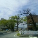 입석네거리 이미지