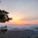 야호맥주