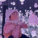 경포해수욕장에서 일출보기 | &lt;아르떼뮤지엄&gt;,&lt;경포아쿠아리움&gt; | &lt;갤러리밥스&gt; 성공! &lt;툇마루&gt; 실패!