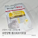 로얄헤어 | 유한양행 레시피브이로얄 헤어볼&amp;유리너리 맛있는사료 후기