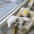 반센트 | 사직역 근처 향수 원데이클래스 반센트 (VAN SCENT)