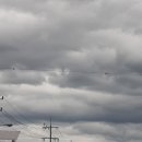 회정범양A 이미지