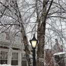 라라뉴욕 이미지