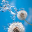 바람불어 좋은날 이미지