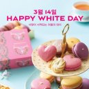 화이트기획 이미지