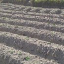 그린농장2 이미지