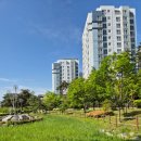 새마을부동산중개사사무소 이미지