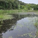 백적제 보존 10주년 기념 탐방 이미지