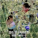 주식회사 타온게임즈 | 경주 실내 아이랑 가볼만한 곳 코스믹리조트 미디어파크 보문단지 놀거리 찐후기