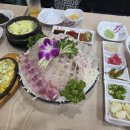 박영철 | [대구 달서구] 유천동 횟집 추천, 철이모듬회 2인으로 숙성회&amp;활어회 제대로 즐긴 박영철사시미 후기