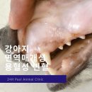 더오래 동물병원 이미지