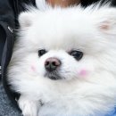 일출물빛 이미지