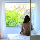 아일랜드프로젝트성산점 | 제주도 숙소 추천 감성 좋은 제주시 2인 펜션 스테이 오제