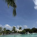 피자베이 수영점 | 필리핀 세부 플랜테이션베이 / 샹그릴라 리조트 숙소 후기 비교