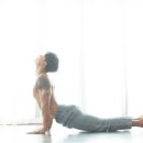 크로스핏 배곧 이미지