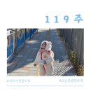 꽃무지풀무지유치원 | 육아기록 119주차, 겨울 가정보육 엄마표 놀이활동