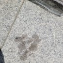 세종해수사우나 이미지