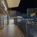 도화본365의원 | 인천 도화동 도화본365의원 365일 여는 병원