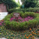 마을정원유지관리 이미지