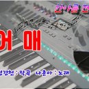 어매/나훈아 노래 이미지