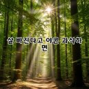 야콘 | 야콘 효능, 살 빠진다고 고구마처럼 무작정 과식했다간 설사 지옥 열립니다