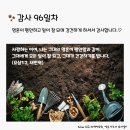 감사의 삶 3기 96일차(4.5) 이미지