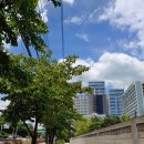 하루분식 이미지