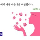 금성백조예미지 이미지