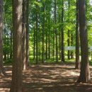 프랜드제과 사거리 앞 이미지