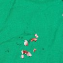 뿌리앤치과의원 이미지