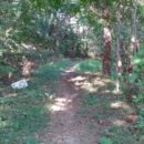 상정리마을회관 이미지