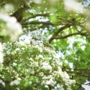 고기랑 낙지랑 이미지