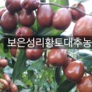 성리농장 이미지