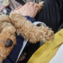 고성2119 이미지