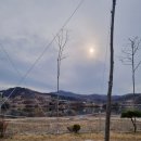 탄금호야영장 이미지
