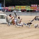 서해를품다