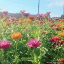 나들농장 이미지