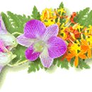 가수원로-21 이미지