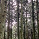 911 매일의원 이미지