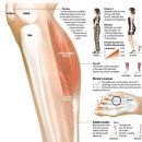 명성한의원 이미지