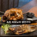 히모노야